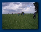 Starters spread all over